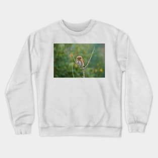 hbs baby me Crewneck Sweatshirt